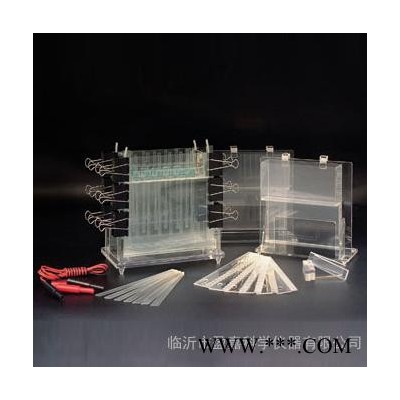 供應臨沂盈嘉DYCZ-21多用途電泳槽