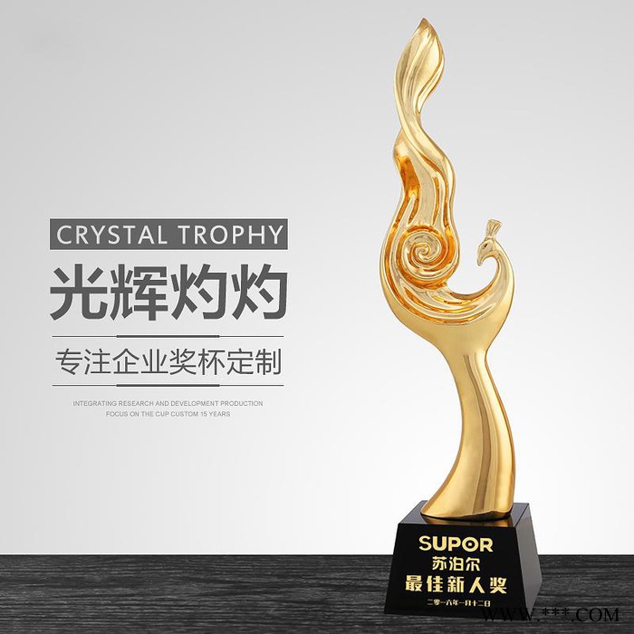 樹脂電鍍獎(jiǎng)杯批發(fā)樹脂獎(jiǎng)品圖樣樹脂獎(jiǎng)杯價(jià)格咨詢關(guān)愛(ài)老人獎(jiǎng)杯中國(guó)人壽獎(jiǎng)杯