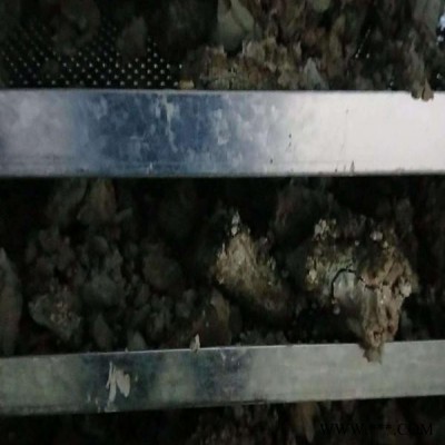 威凌菲斯20噸電鍍污泥低溫干化系統 無有害氣體排出 低能耗