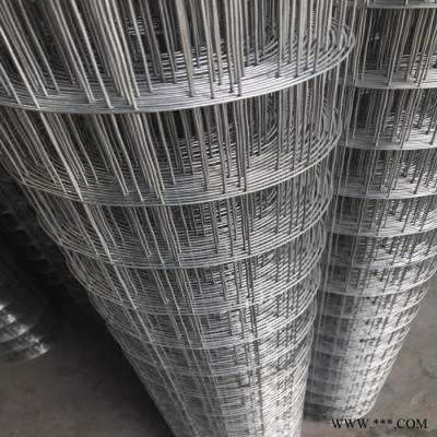 宏樂 安平改拔絲電焊網(wǎng) 電鍍鋅焊接網(wǎng) 冷鍍鋅電焊鐵絲網(wǎng)**價廉